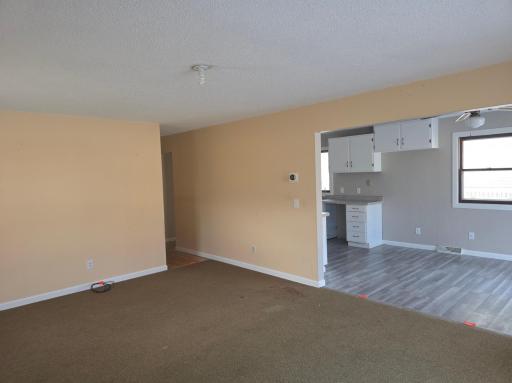 118 N O Connell Avenue, Springfield, MN 56087