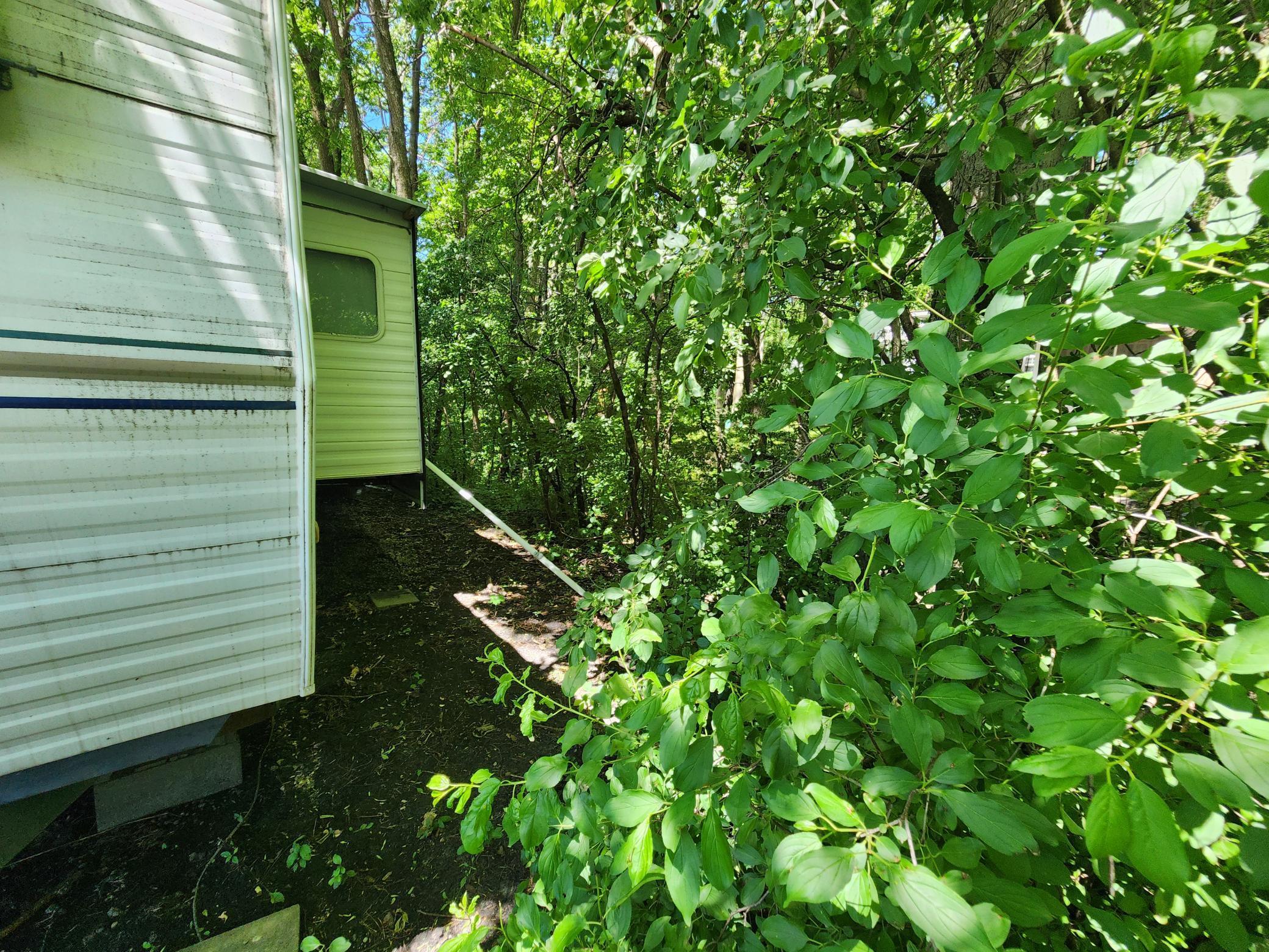 Lots of trees behind the RV