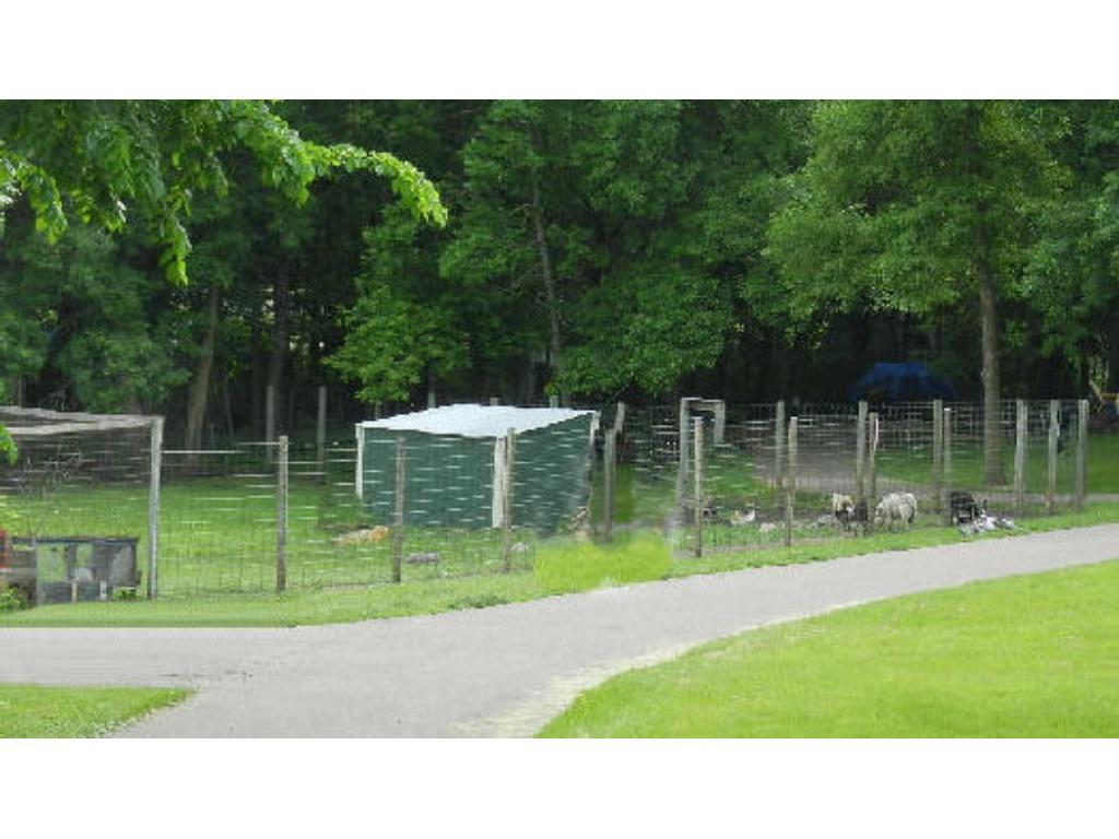 Animal park has sheep and goats and ducks and ??? Look for the babies!