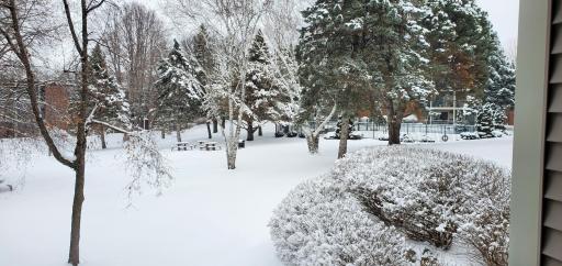 Private Courtyard View.jpg