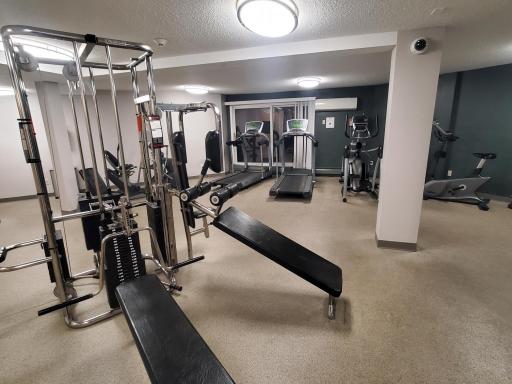 Gym 1.jpg