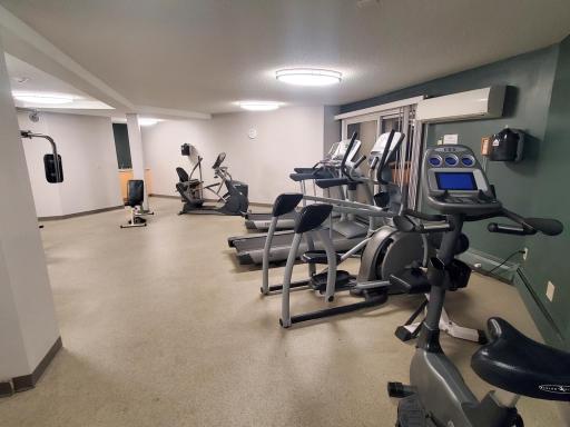 Gym 2.jpg