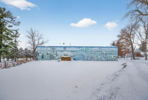 36206 660th Street, Lake City, MN 55041