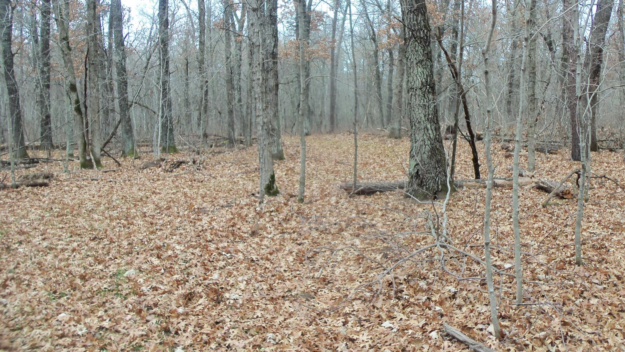 100_6309.JPG