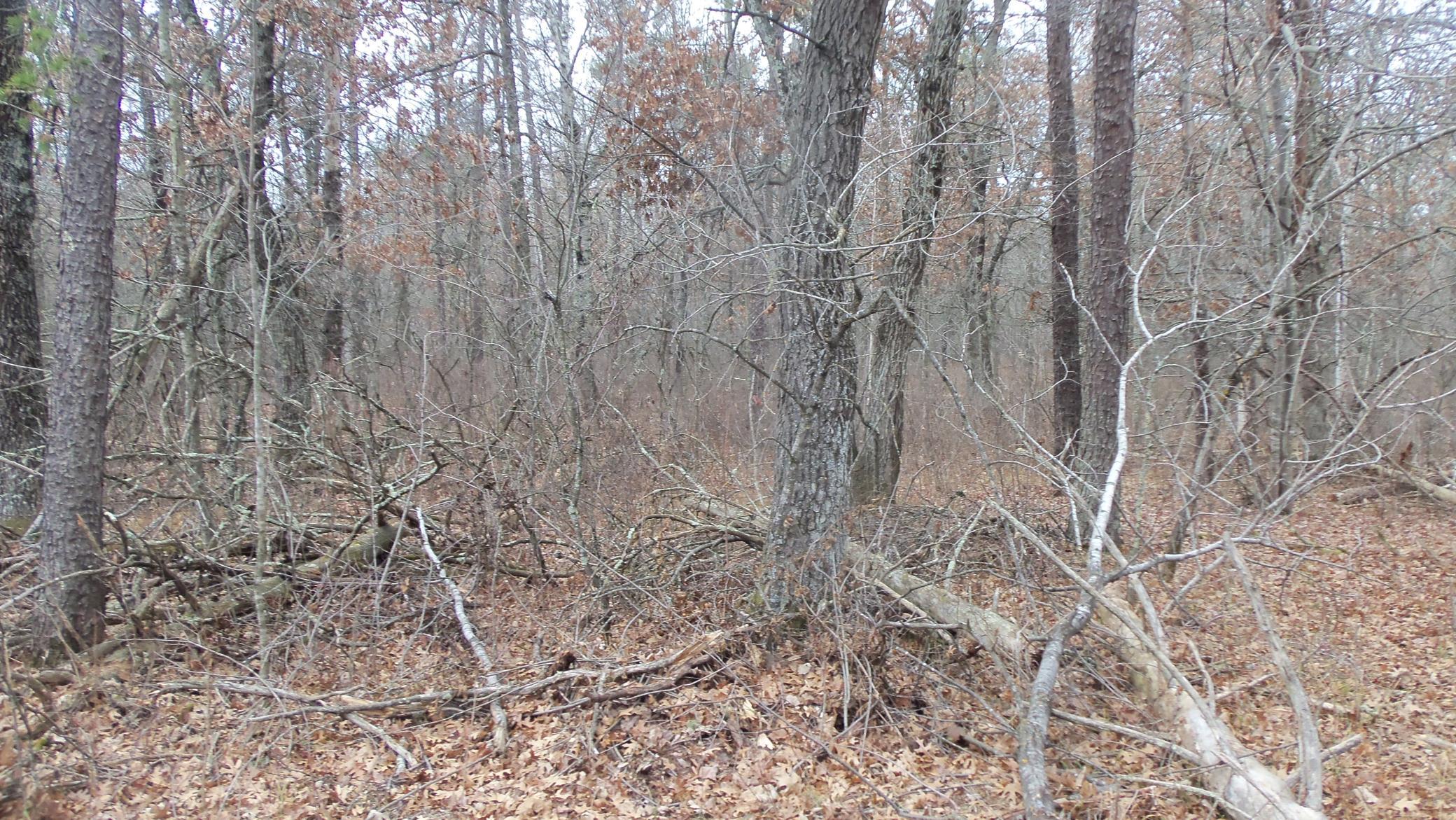 100_6304.JPG