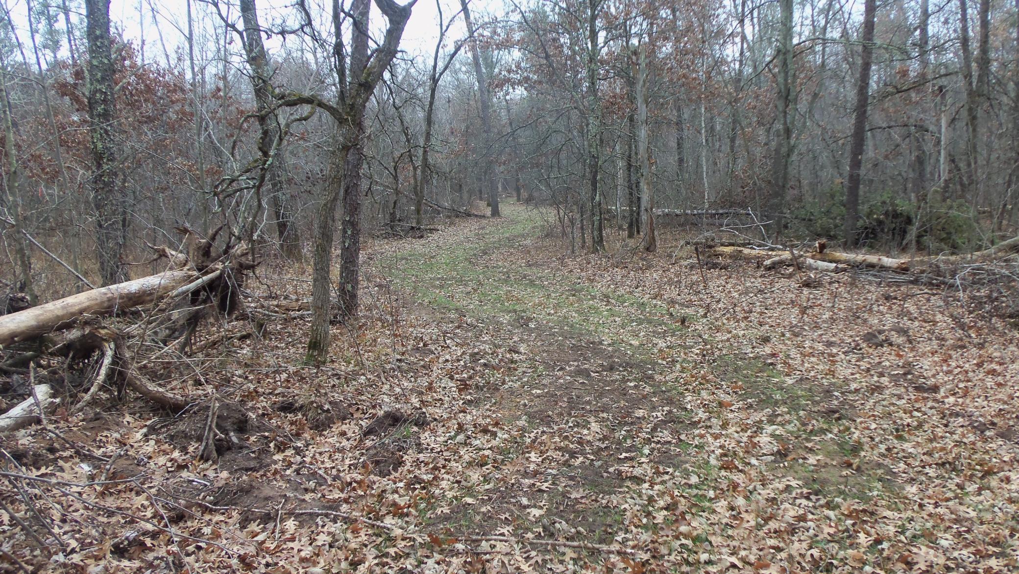 100_6305.JPG