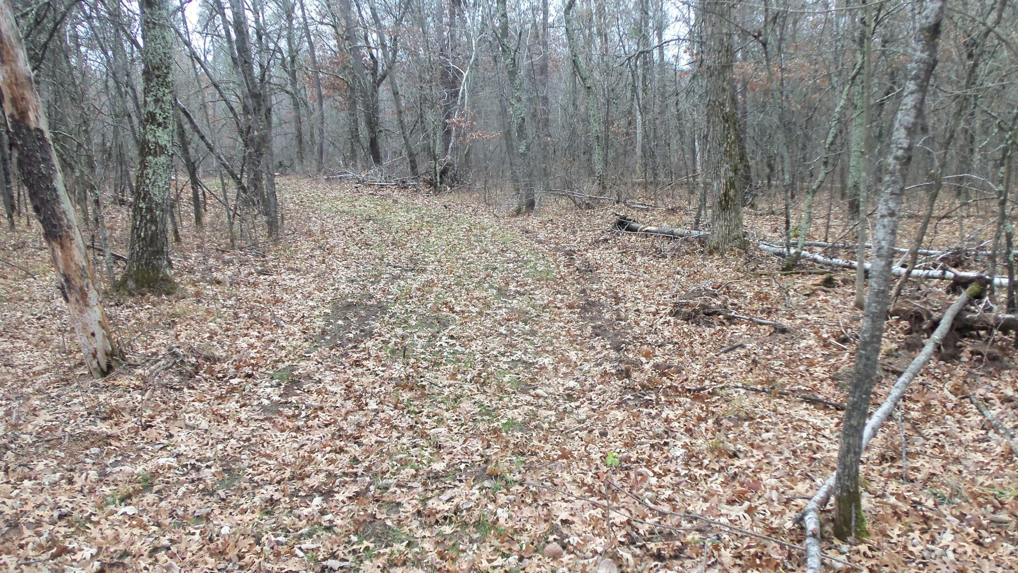 100_6303.JPG