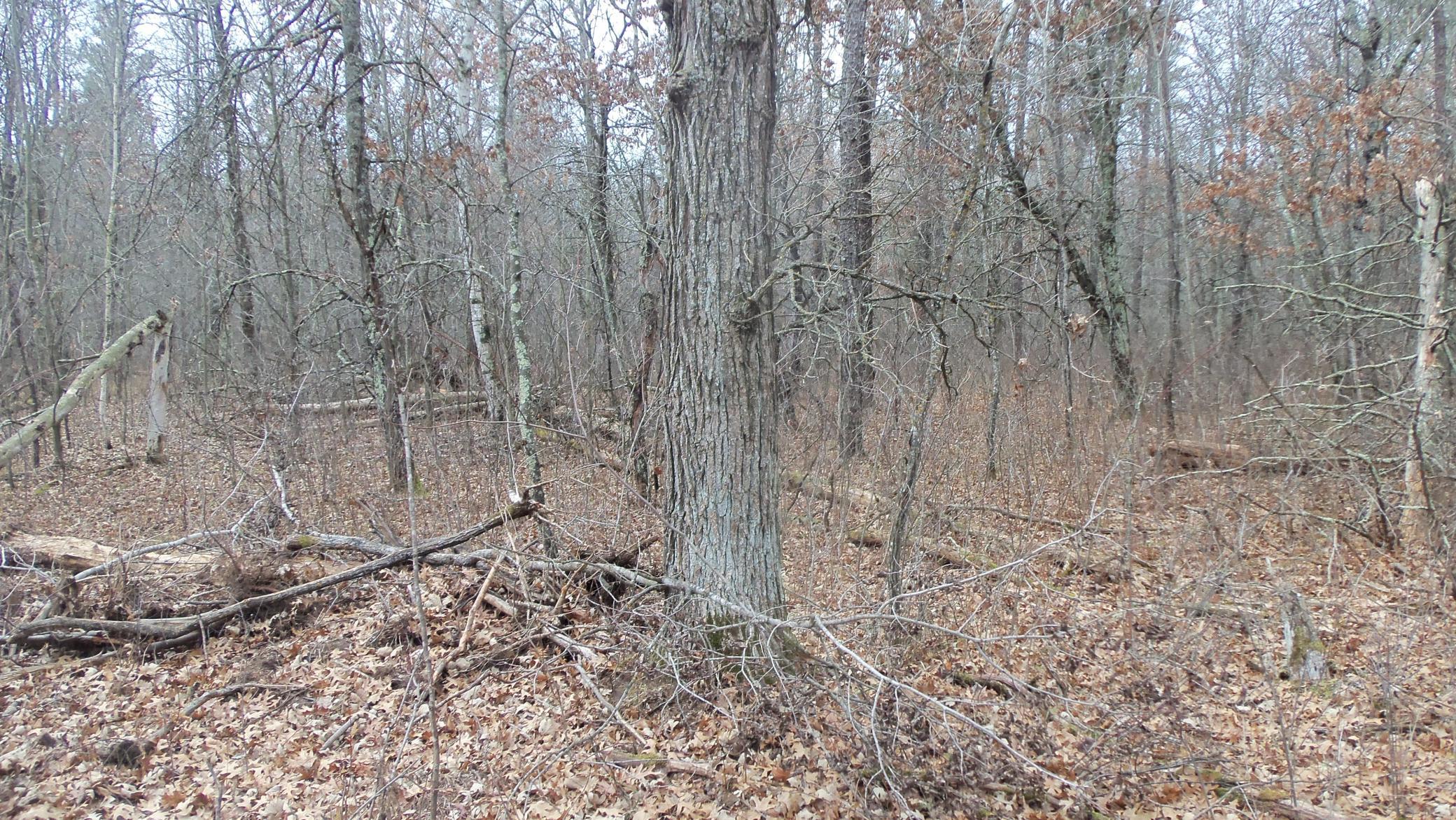 100_6306.JPG
