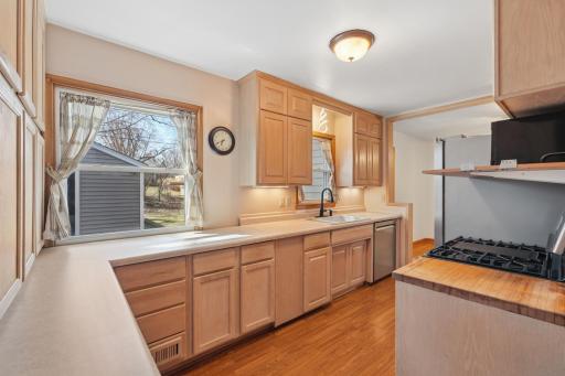 TWO kitchen windows with views of your backyard