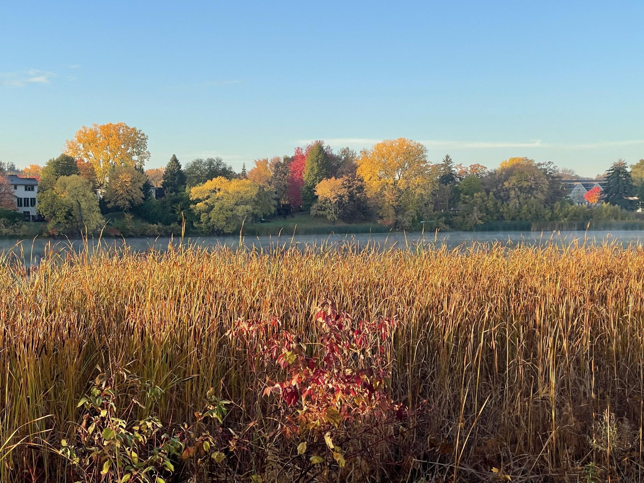 Views from nature walk
