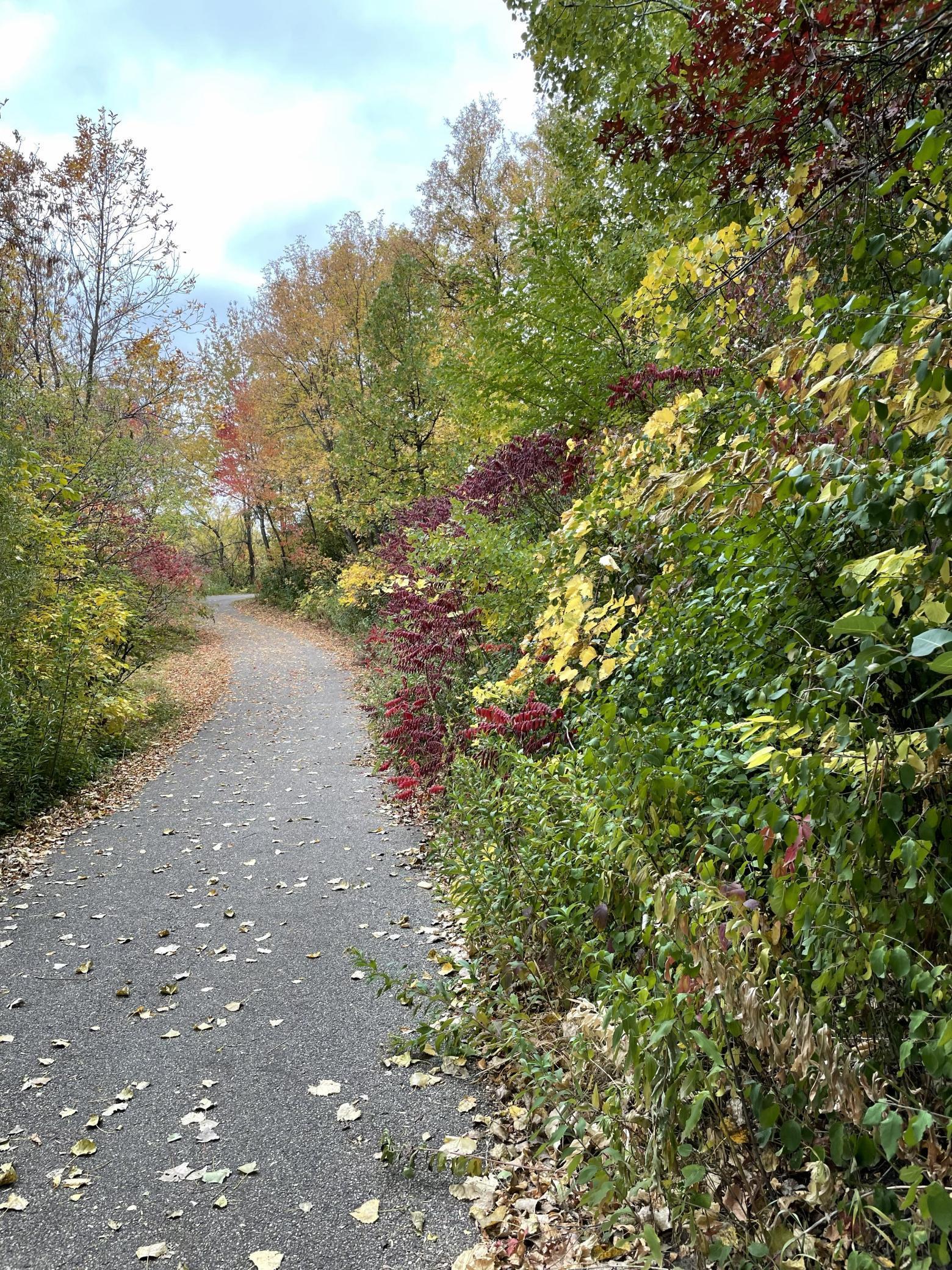 Over 1 mile paved trail around Lake Earley