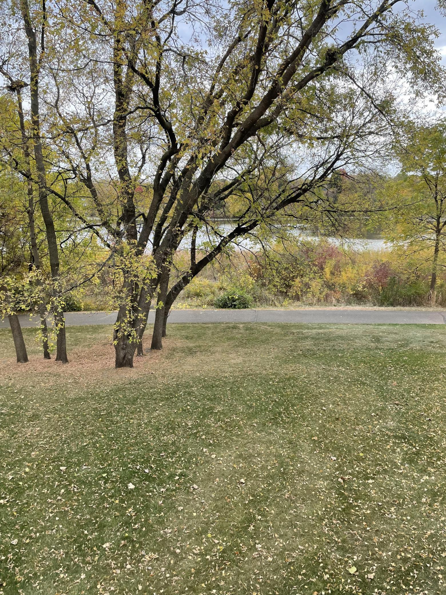 Walk right out the lower level sliding door onto the walking path!