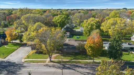 02-DJI_0251.jpg