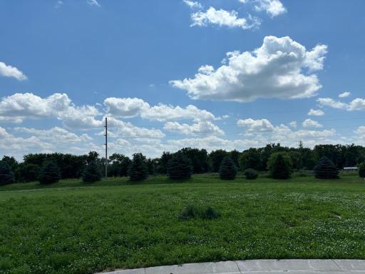 308 Spring Day Court NE, Eyota, MN 55934