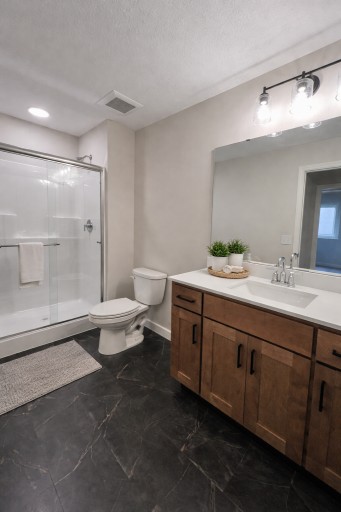 Lower Level Bath_Virtually Staged.png