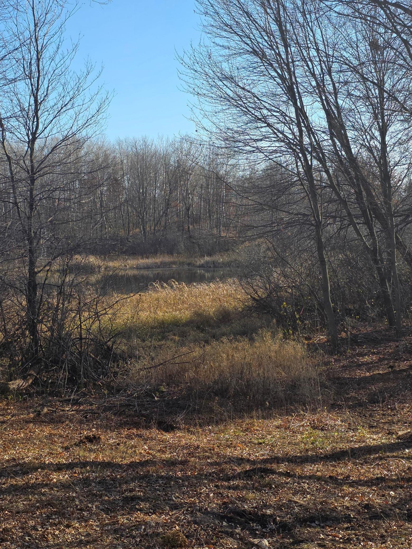 Lake view to the east