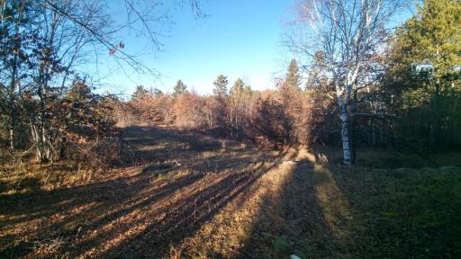 50164 County 29, Bemidji, MN 56601