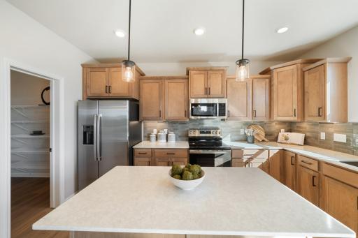 1005 Annagaire Curve, Rosemount, MN 55068
