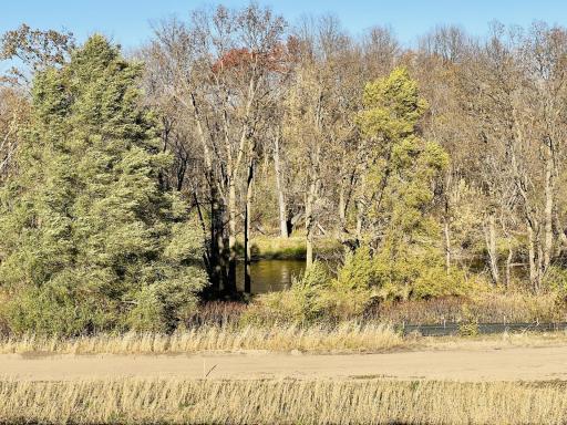 Stroll along serene riverfront trails and immerse yourself in nature’s beauty. Perfect for morning walks, evening jogs, or simply unwinding by the water—right within your community.