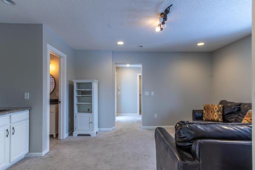 3945 169th Lane NW, Andover, MN 55304