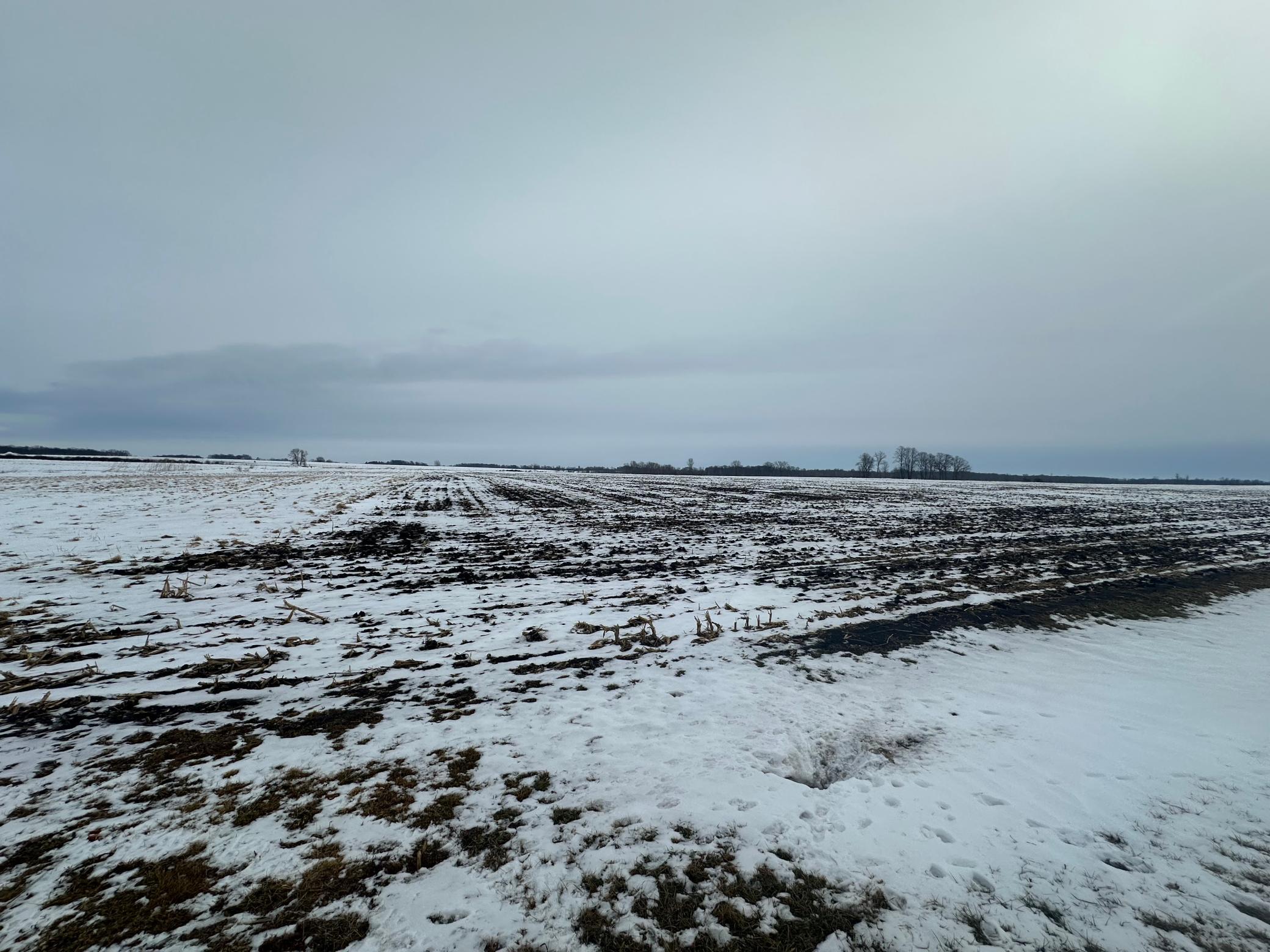 IMG_2191.jpeg