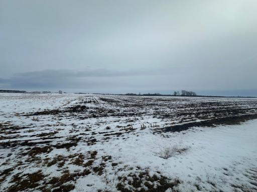 TBD County 36, Long Prairie, MN 56347