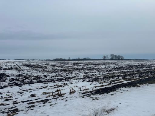 TBD County 36, Long Prairie, MN 56347