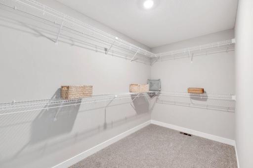 Primary bedroom has large walk-in closet.