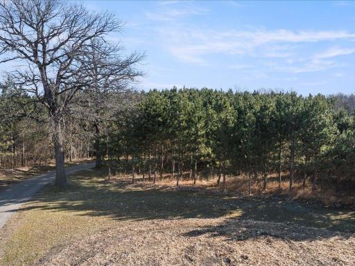 21998 Lasalle Avenue NW, Puposky, MN 56667