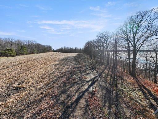 21998 Lasalle Avenue NW, Puposky, MN 56667