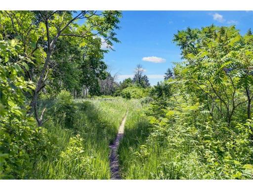 Trail through the beautiful Grey Cloud Dunes Scientific and Natural Area, next to the Mississippi Landing neighborhood.
