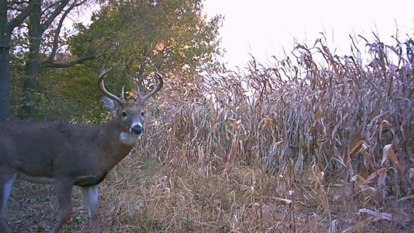 Untitled design - 2026-01-06T095548.040.png