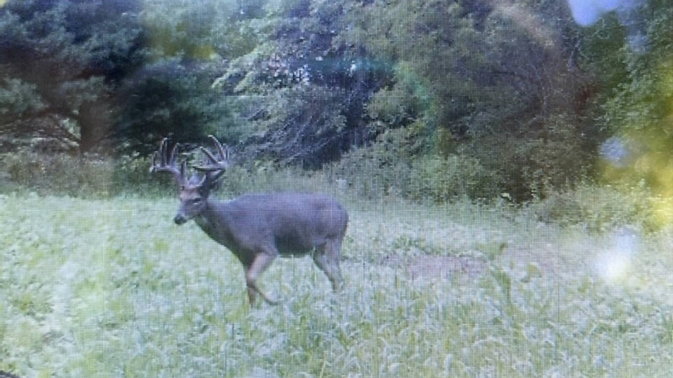 Untitled design - 2026-01-06T095700.785.png