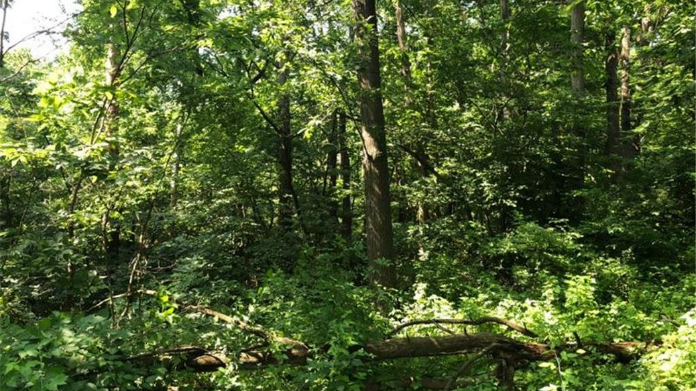 Untitled design - 2026-01-06T095758.322.png