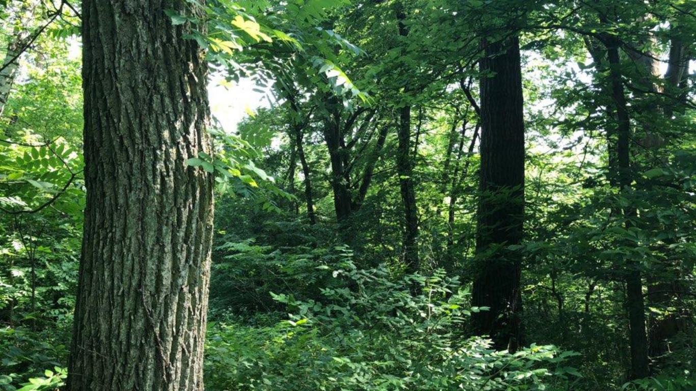 Untitled design - 2026-01-06T095732.835.png