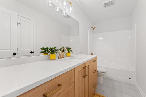 3658 Meadow Sage Court SE, Rochester, MN 55904