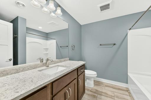Lower level full bath.jpg