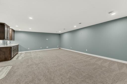 Large lower level family room.jpg