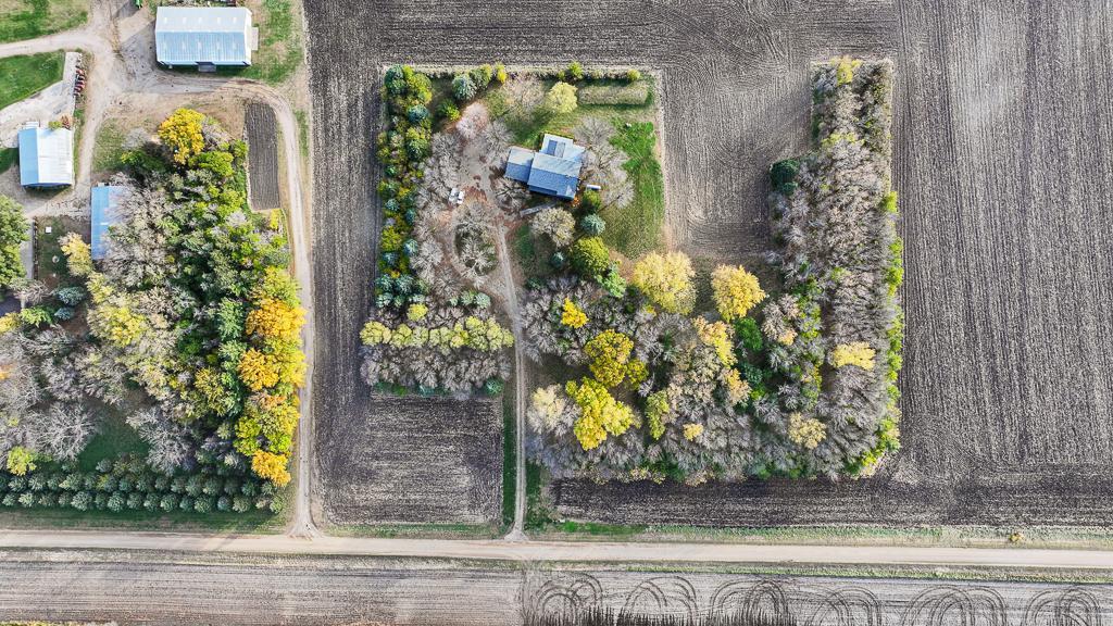 Beautiful 5-acre parcel highlighted by mature tree lines, privacy buffers, and a rare blend of open space and seclusion.