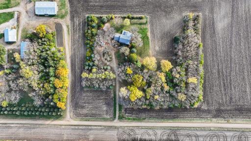 Beautiful 5-acre parcel highlighted by mature tree lines, privacy buffers, and a rare blend of open space and seclusion.