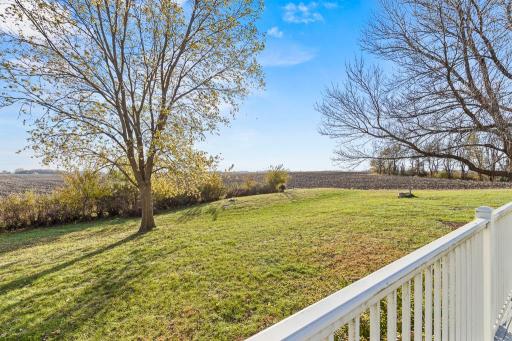 Wide-open backyard with mature trees and tranquil country views offers endless space for play, pets, gardening, or future possibilities.