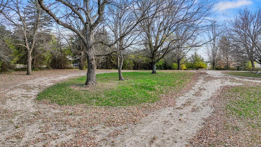 Tree-lined circular driveway creates a welcoming entrance with easy access, generous parking space, and a scenic approach to this private acreage setting.
