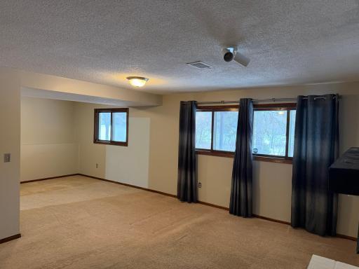 Lower Level Family Room