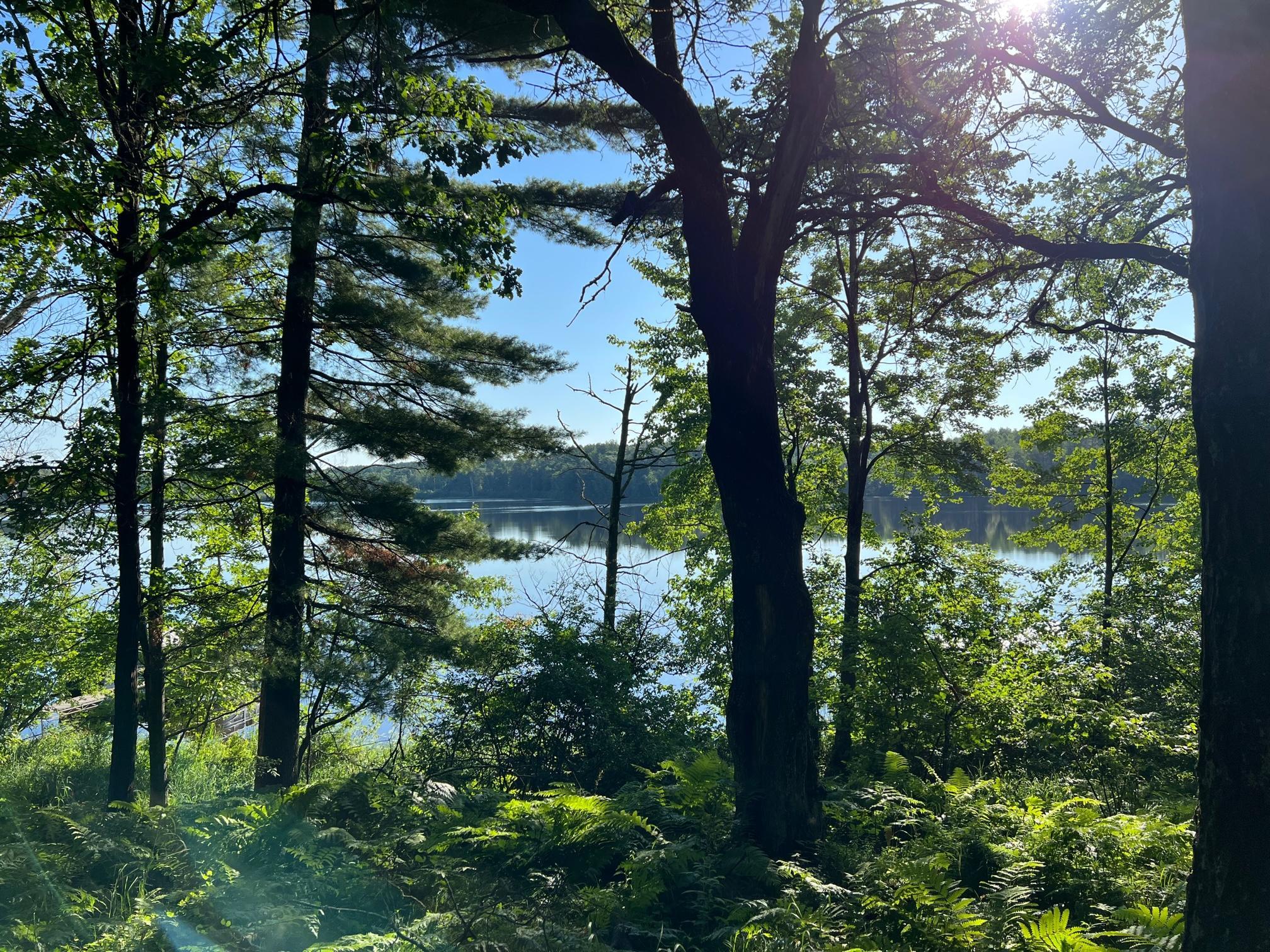 Great view