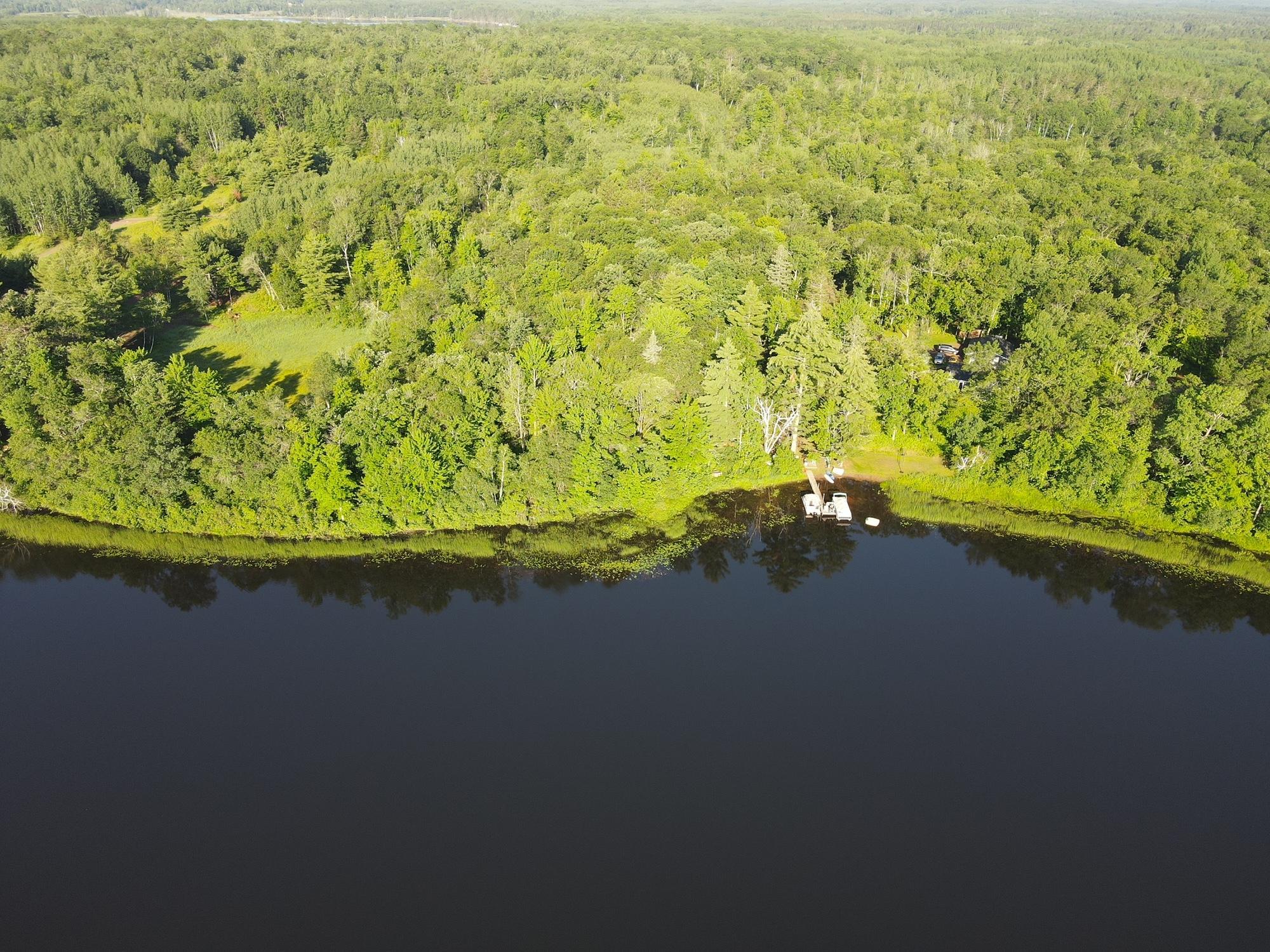 Wooded Lakeshore