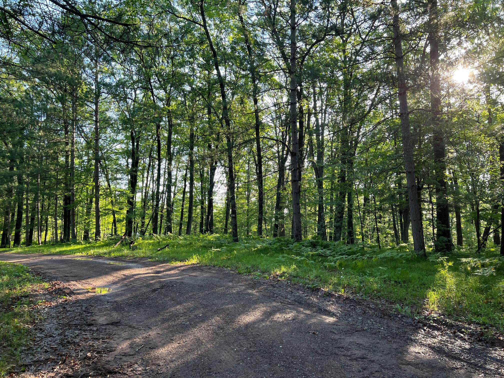 Private road to property