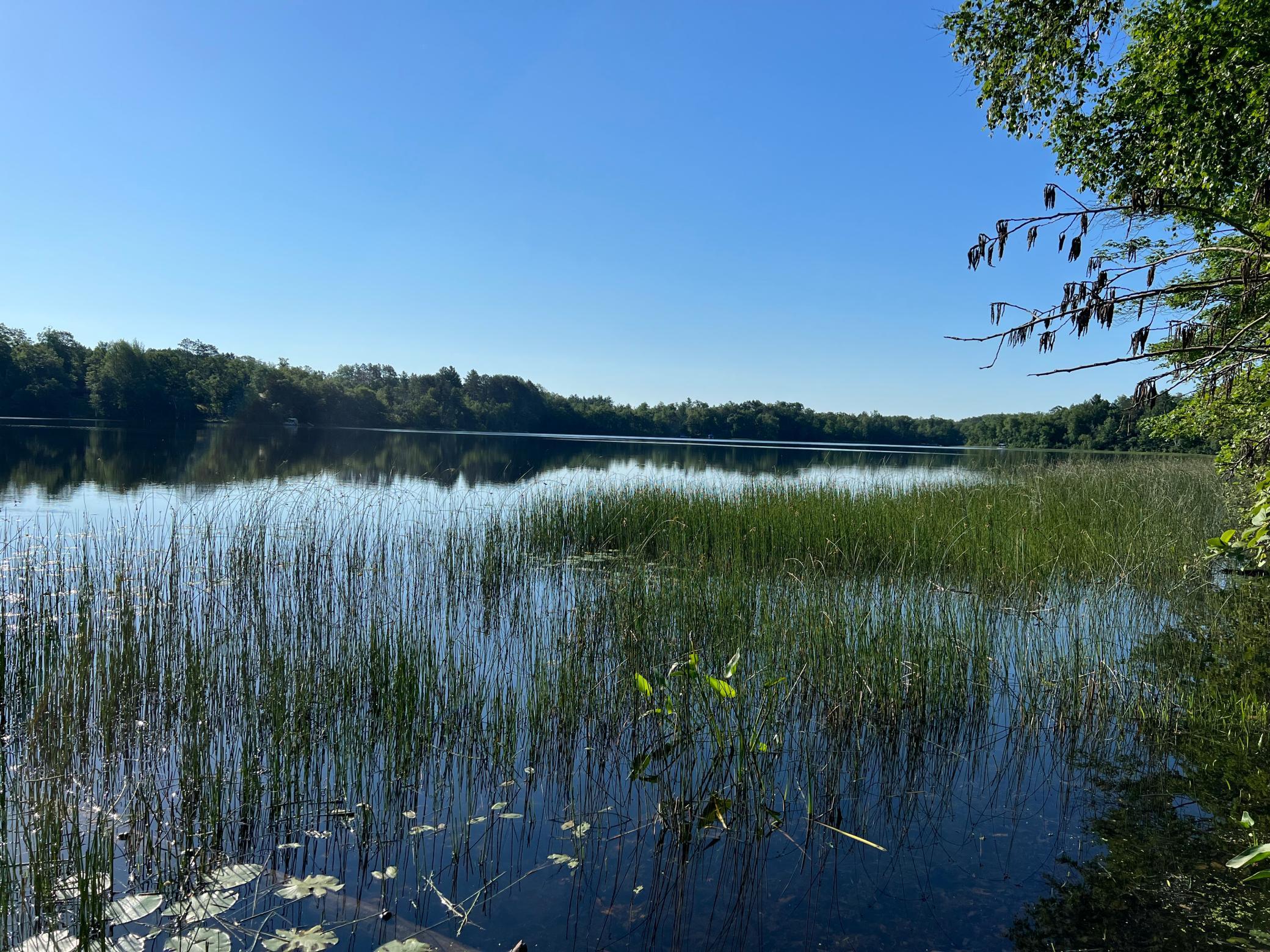 Great fishing and swimming