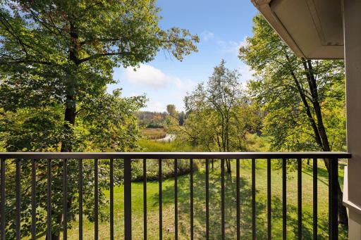 100 Black Oaks Lane N, Wayzata, MN 55391