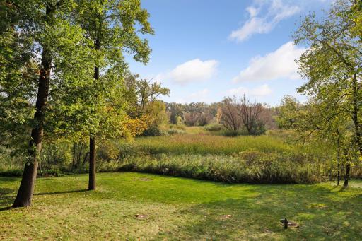 100 Black Oaks Lane N, Wayzata, MN 55391