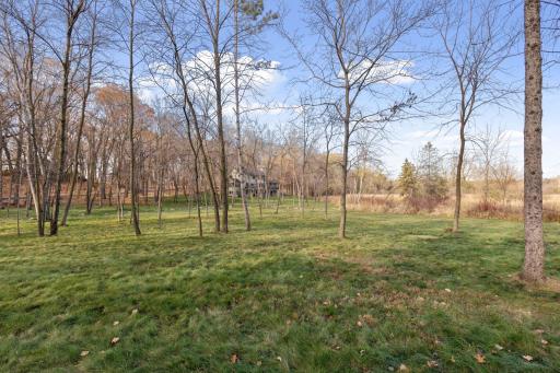 100 Black Oaks Lane N, Wayzata, MN 55391